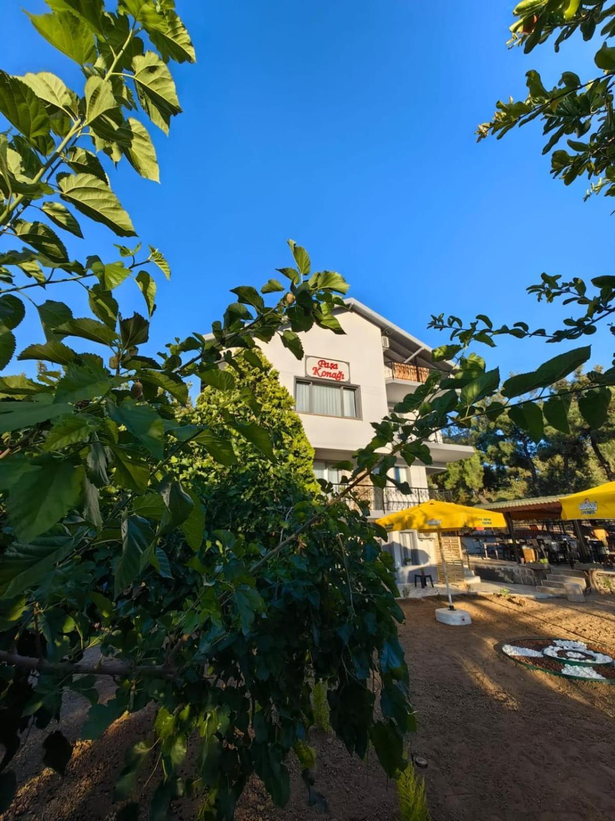 Pasa Konagi Ayvalik Hotel Exterior photo